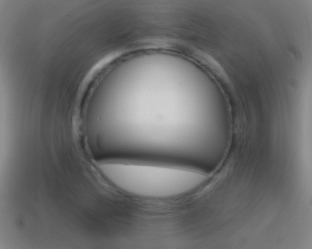 X0000114611172200910200934