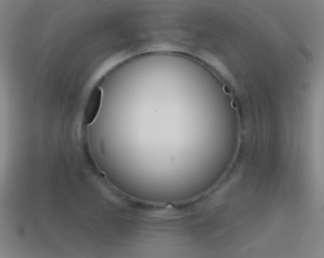 X0000114611173200910200934
