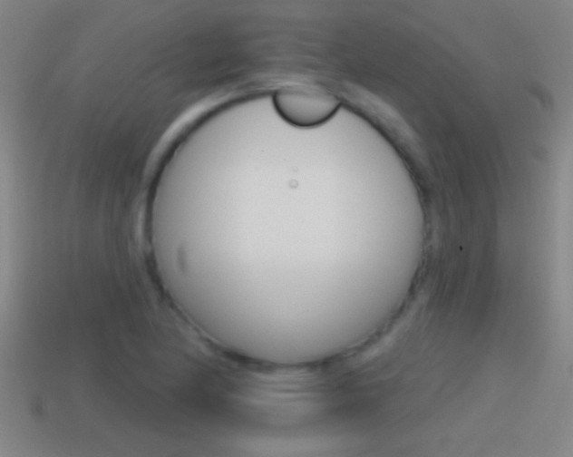 X0000114611174200910200933