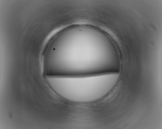 X0000114611175200910200933