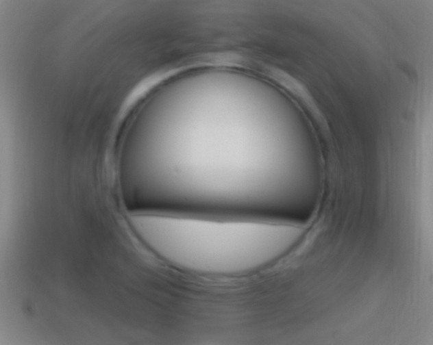 X0000114611176200910200933