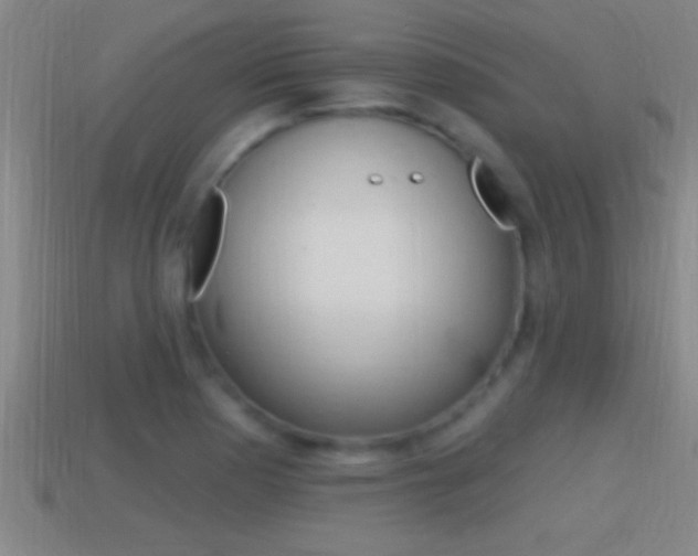 X0000114611177200910200933