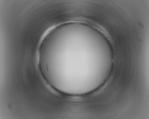 X0000114611180200910200933