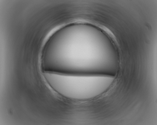 X0000114611183200910200933