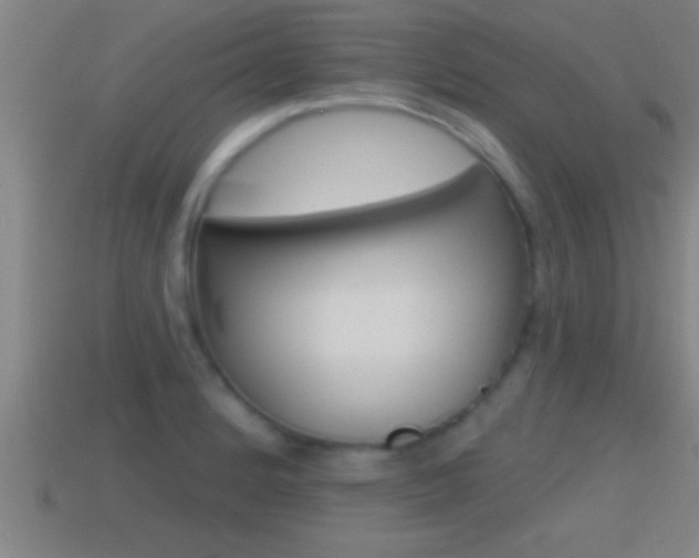 X0000114611184200910200933