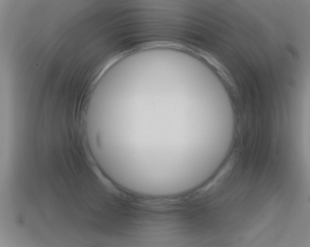 X0000114611185200910200933
