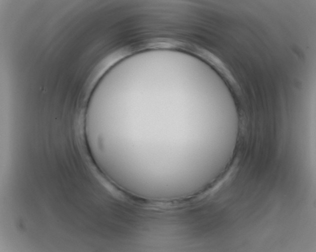 X0000114611186200910200933