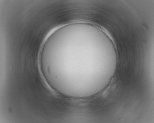 X0000114611187200910200933