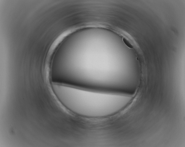 X0000114611188200910200933