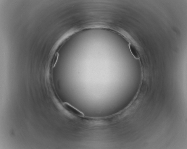 X0000114611189200910200933