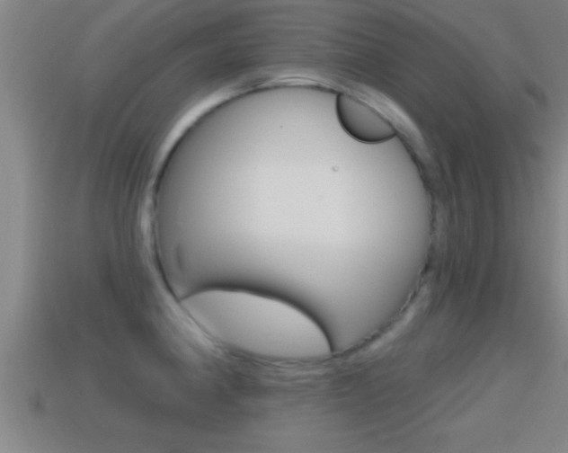 X0000114611190200910200933