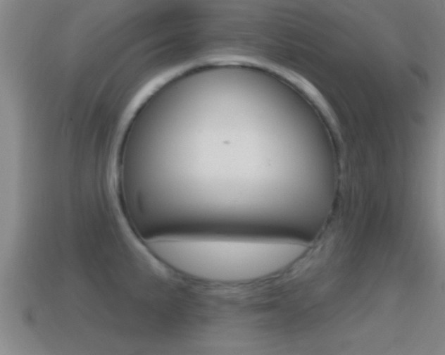 X0000114611191200910200933