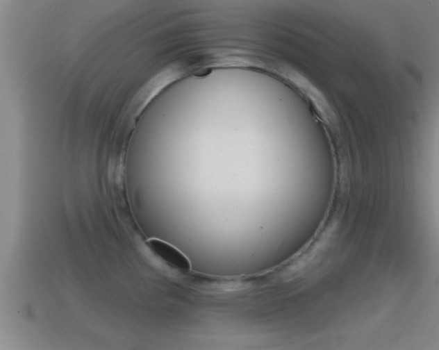 X0000114611193200910200933