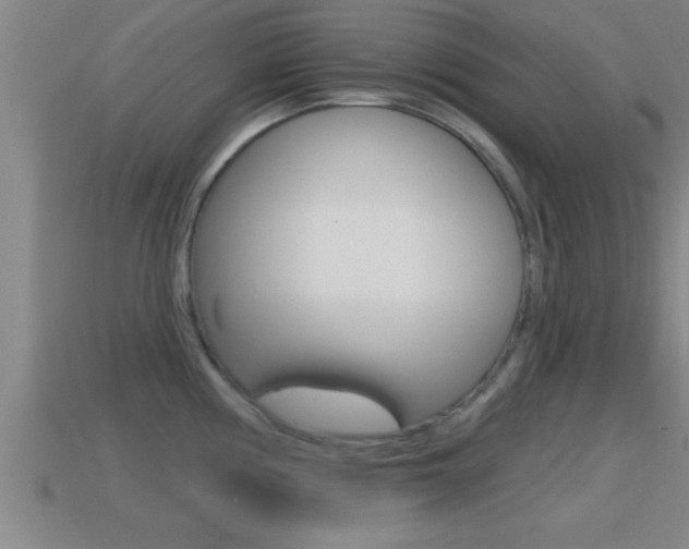 X0000114611194200910200933