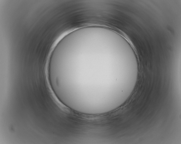 X0000114611195200910200933