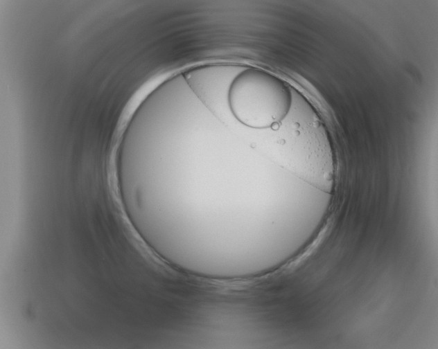 X0000114611196200910200933