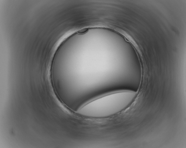 X0000114611197200910200933