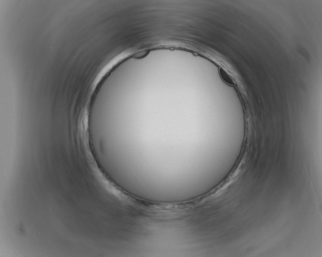X0000114611198200910200933