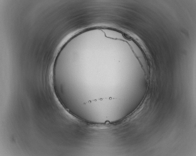X0000114611199200910200933