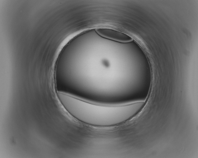 X0000114611200200910200933