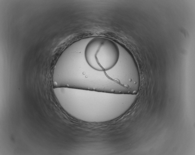 X0000114611205200910200932