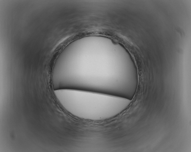 X0000114611206200910200932