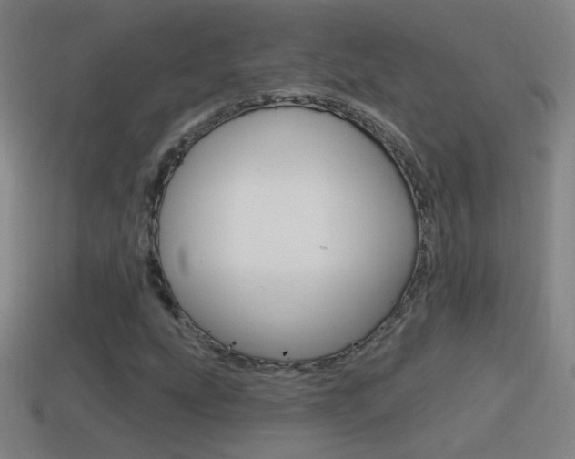 X0000114611207200910200932