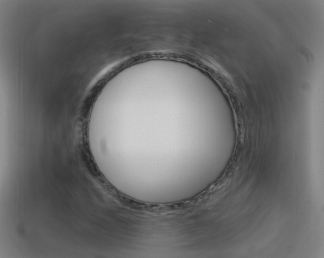 X0000114611208200910200933