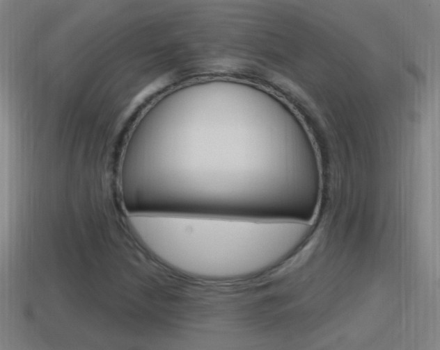 X0000114611210200910200933