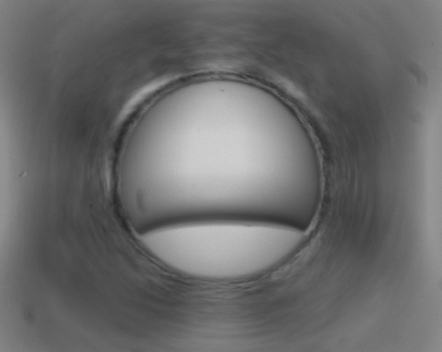 X0000114611214200910200933