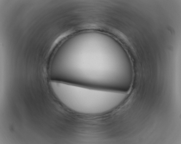 X0000114611218200910200933