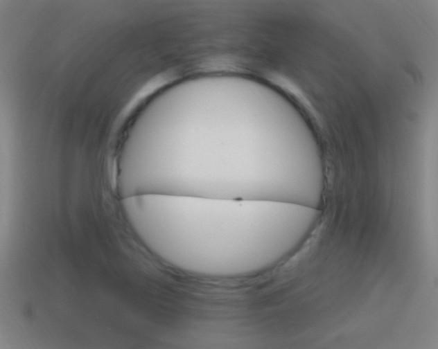 X0000114611219200910200933