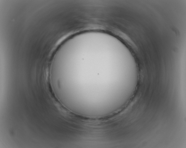 X0000114611220200910200933