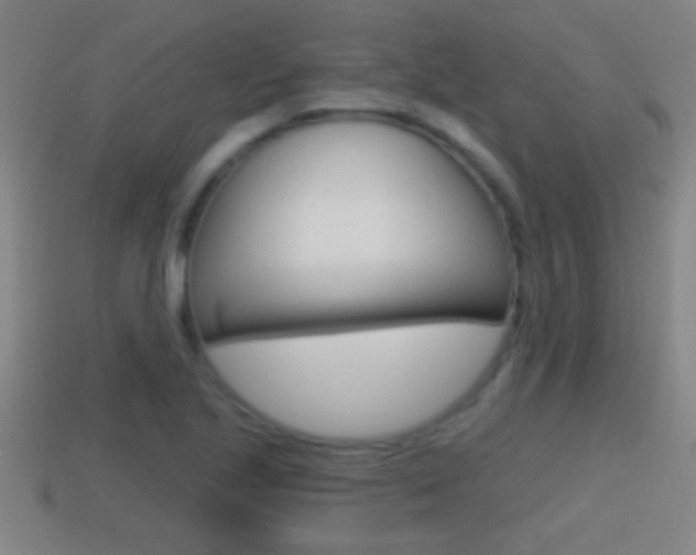 X0000114611221200910200933