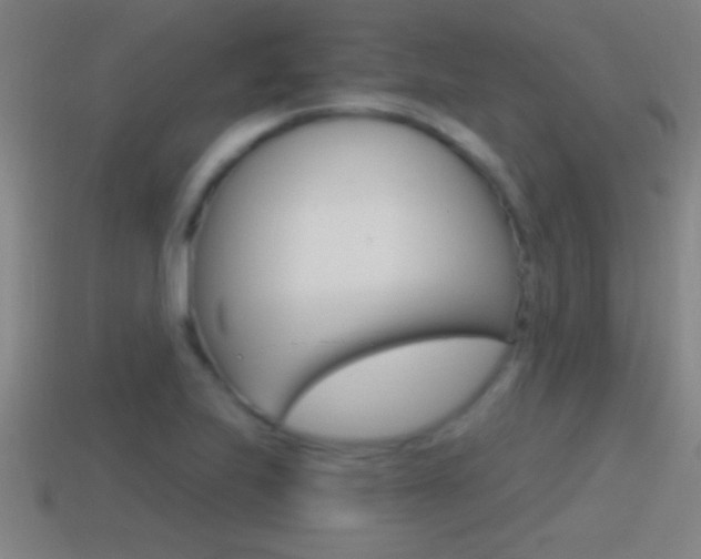 X0000114611223200910200933
