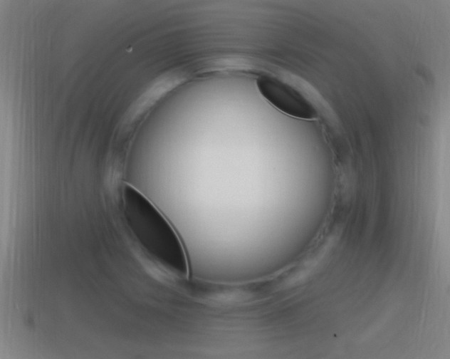 X0000114611225200910200933