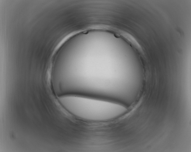 X0000114611228200910200933