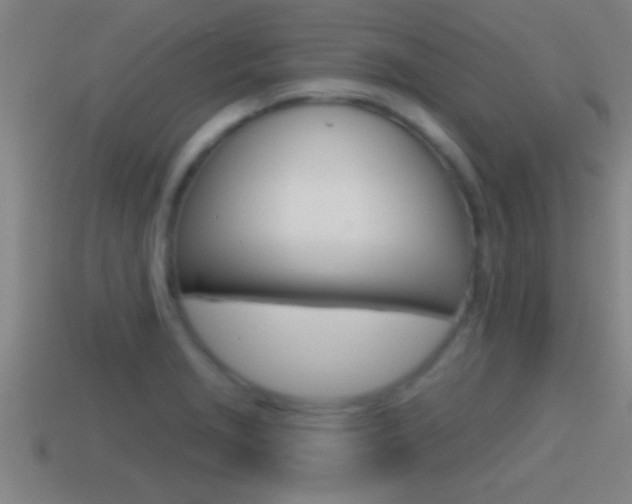 X0000114611229200910200933