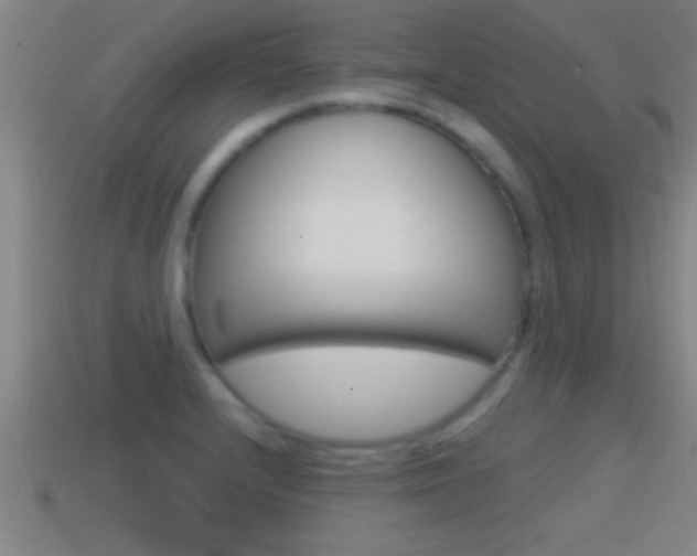 X0000114611232200910200933