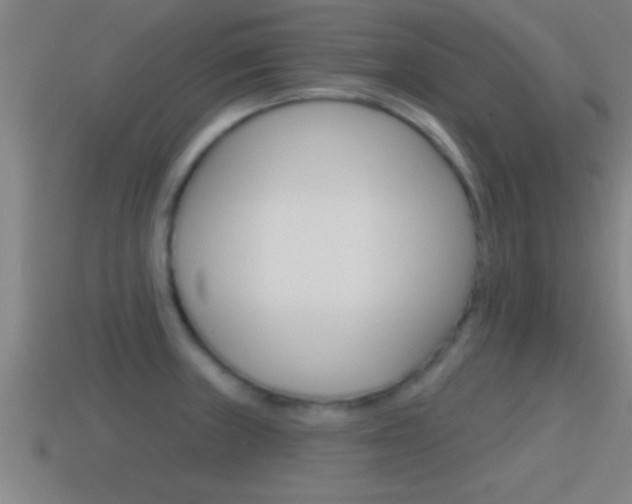 X0000114611235200910200933