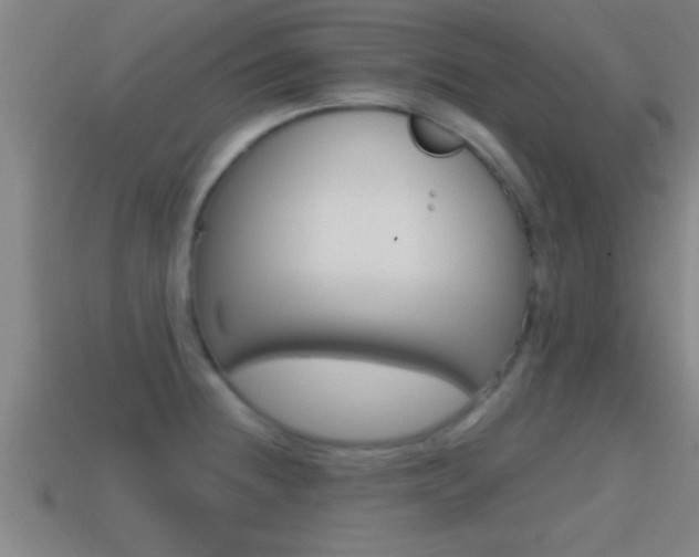 X0000114611236200910200933