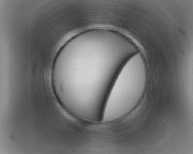 X0000114611237200910200933
