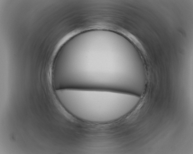 X0000114611238200910200933