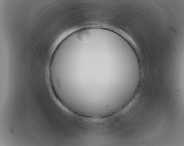 X0000114611239200910200933