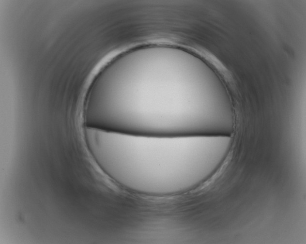 X0000114611240200910200933