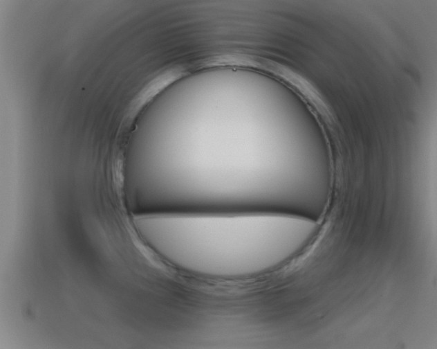 X0000114611241200910200933