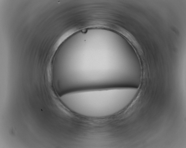 X0000114611242200910200933