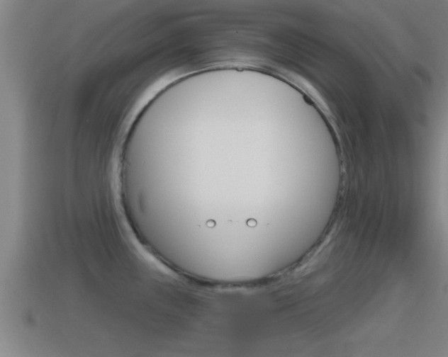 X0000114611243200910200933