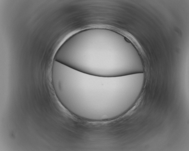 X0000114611244200910200933