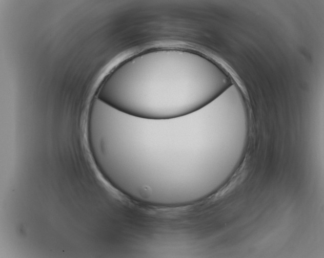 X0000114611245200910200933